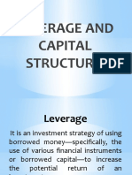 LEVERAGE AND CAPITAL STRUCTURE