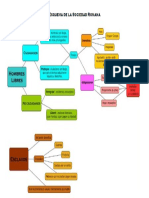 Esquema Sociedad Romana PDF