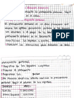 9. Karol Castellanos.pdf