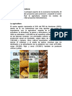 Informe Final Agricultura en Honduras