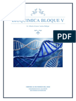 BLOQUE V Bioquímica Discusión 4