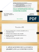 Temática 3 y 4 - Desarrollo Endógeno en La Construcción