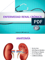 Insuficiencia Renal Cronica