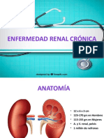 insuficiencia renal cronica.pptx