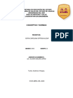 Conceptos y Normas PDF