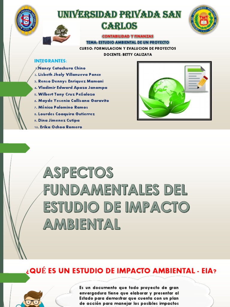 Estudio Ambiental de Proyectos | PDF | Evaluación de impacto ambiental ...