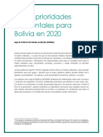 Las-10-prioridades-ambientales-para-Bolivia-en-2020_f