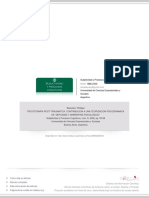 Psicoterapia Post-Traumatica. Contribucion A Una Teorizacion Psicodinamica de "Defusing y Debriefing Psicologico"