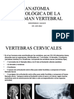 6.1 Anatomia Radiol Gica de La Columan Vertebral