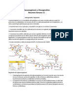 Resumen 11 Bioquimica