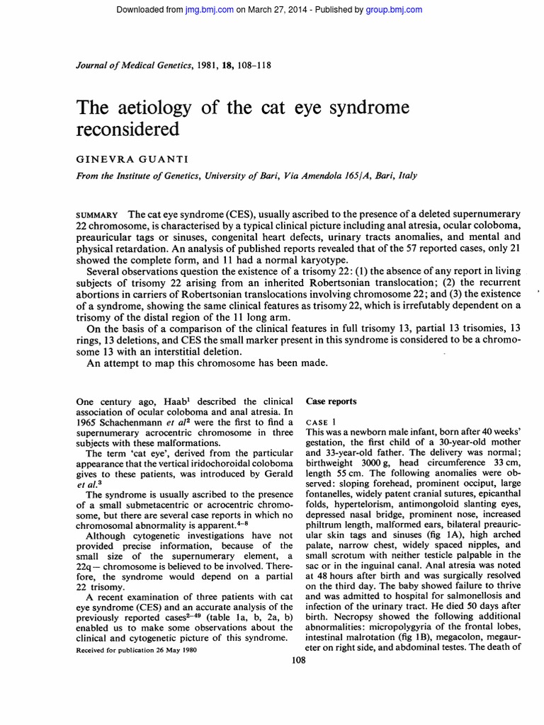 The Aetiology Of The Cat Eye Syndrome Reconsidered Pdf Karyotype Genetics