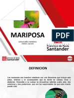 mariposa-sanidad