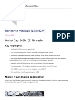 Horizonte Minerals' Nickel District Potential