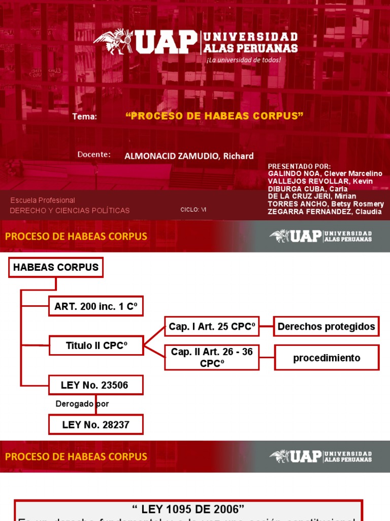 Proceso de Habeas Corpus | PDF | Habeas corpus | Debido al proceso