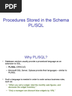 Procedures Stored in The Schema PL/SQL