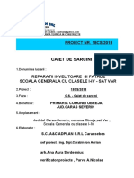 Caiet-De-Sarcini Proceduri Executie PDF