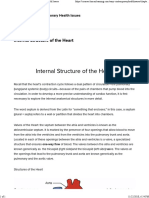 Internal Structure of The Heart - Contemporary Health Issues