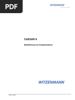 Witzenmann_CaesarII_01_de_en