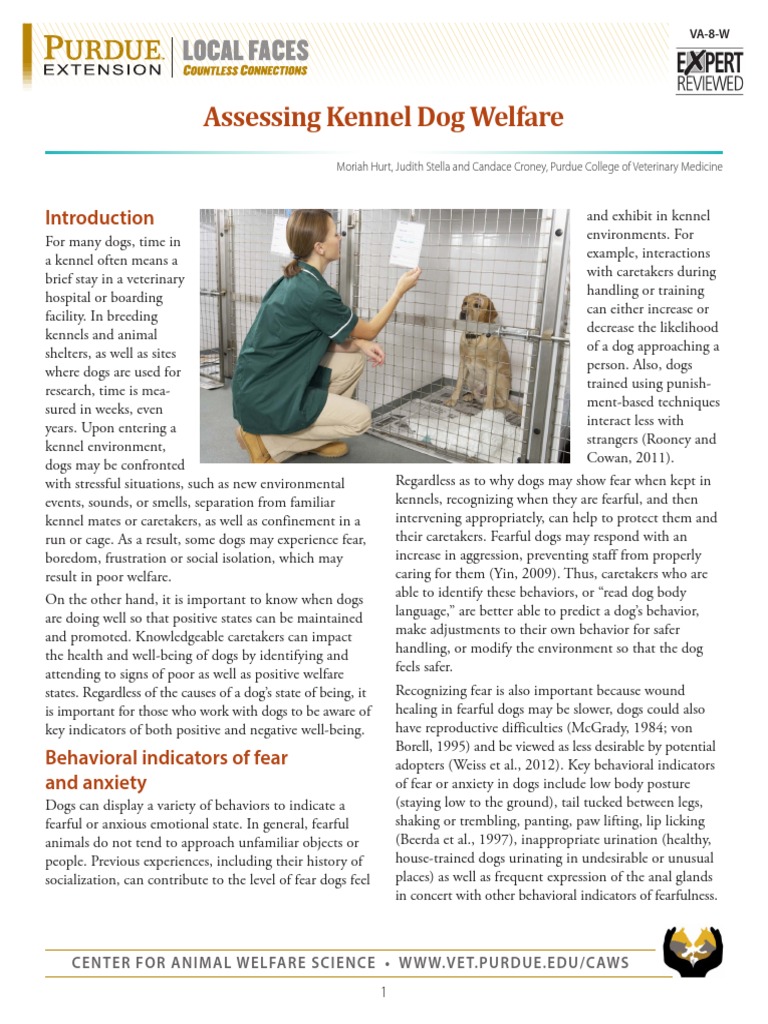 Assessing Kennel Dog Welfare: Center For Animal Welfare Science - WWW ...