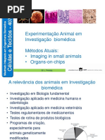Experimentação Animal em Investigação  biomédica e Orgãos em Chips