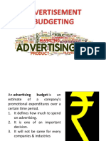 Presentation On Advertisement Budget