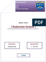 (Endocrine System) : Report About
