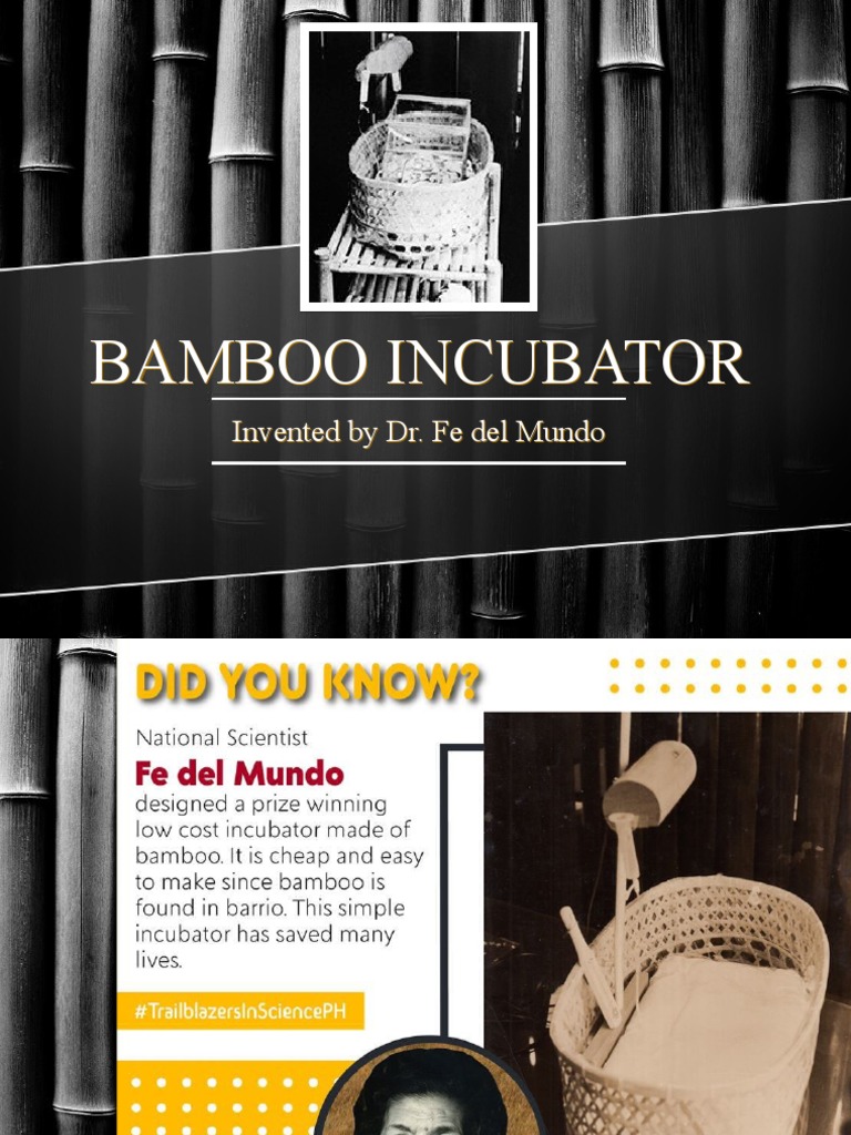 Bamboo Incubator PDF