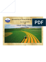 FT_Agricultura_9A.pdf