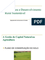 A gestão do capital natural na agricultura