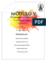 Módulo V PDF