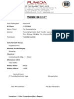 Work Report EXAMPLE