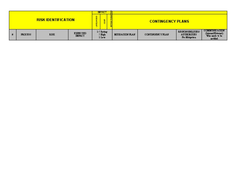 Blank Risk Application Matrix | PDF