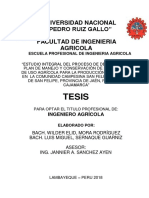 Tesis: Universidad Nacional "Pedro Ruiz Gallo" Facultad de Ingenieria Agricola