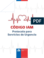 Codigo IAM.pdf