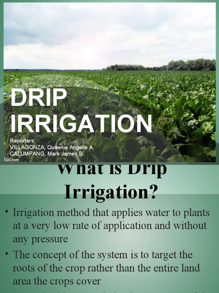 Drip Irrigation PDF Irrigation Landscape Architecture
