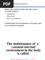 What Is Homeostasis?: Body Cells Work Best If They Have The Correct Environment