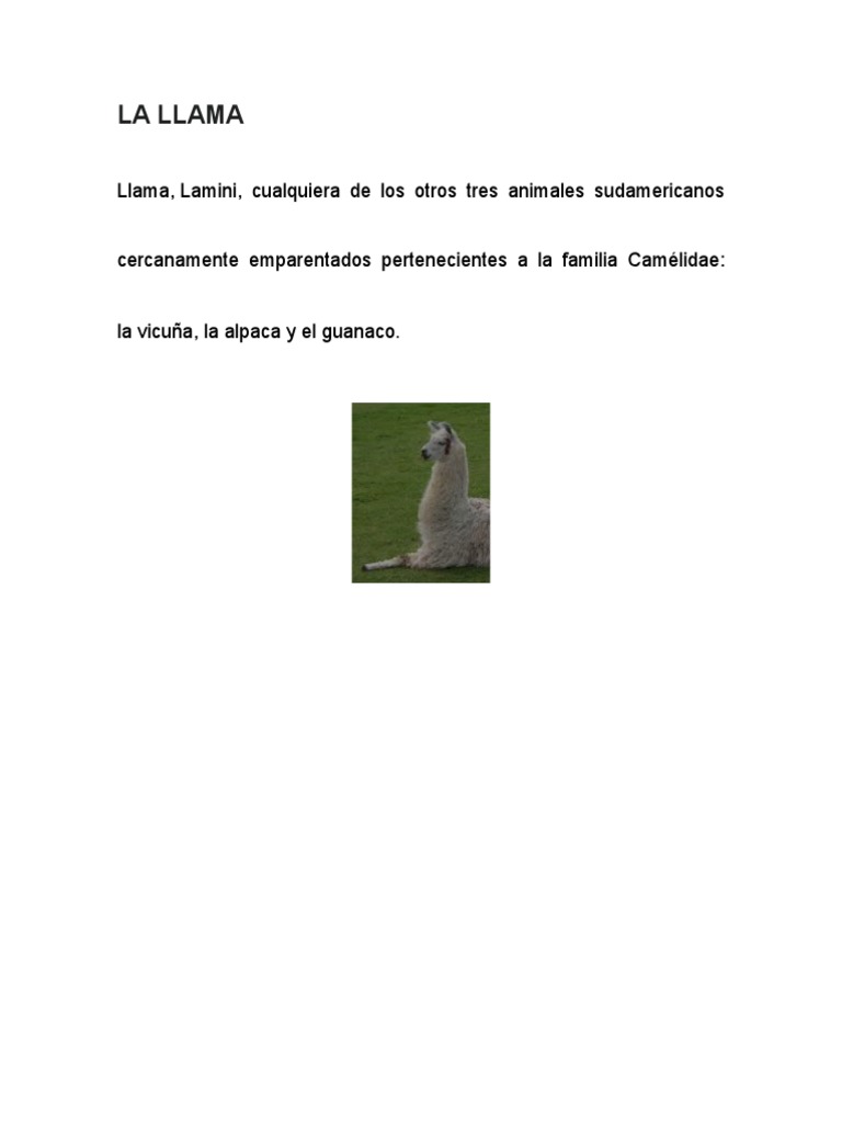 La Llama | PDF