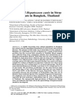 Detection of Hepatozoon Canis in Stray Dogs and Cats in Bangkok