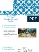 Pengertian dan Pencegahan Penyakit Filariasis
