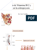 Absorción de Vitamina B12 y funcion en la