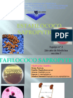 Presentación micro estafilococo.