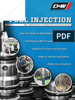 DW1020-Fuel-Injection-Brochure.pdf