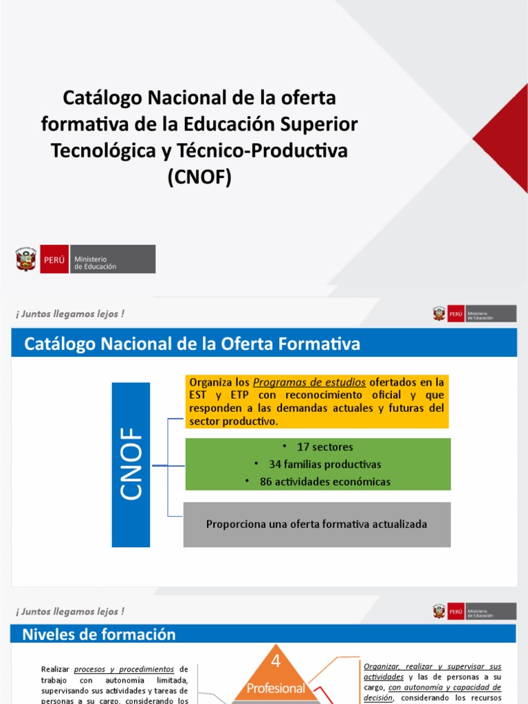 Catálogo Nacional de Oferta Formativa 2024 | PDF | Plan de estudios ...