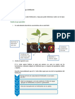 Lección 3 Actividad 1 - Riego y Fertilización