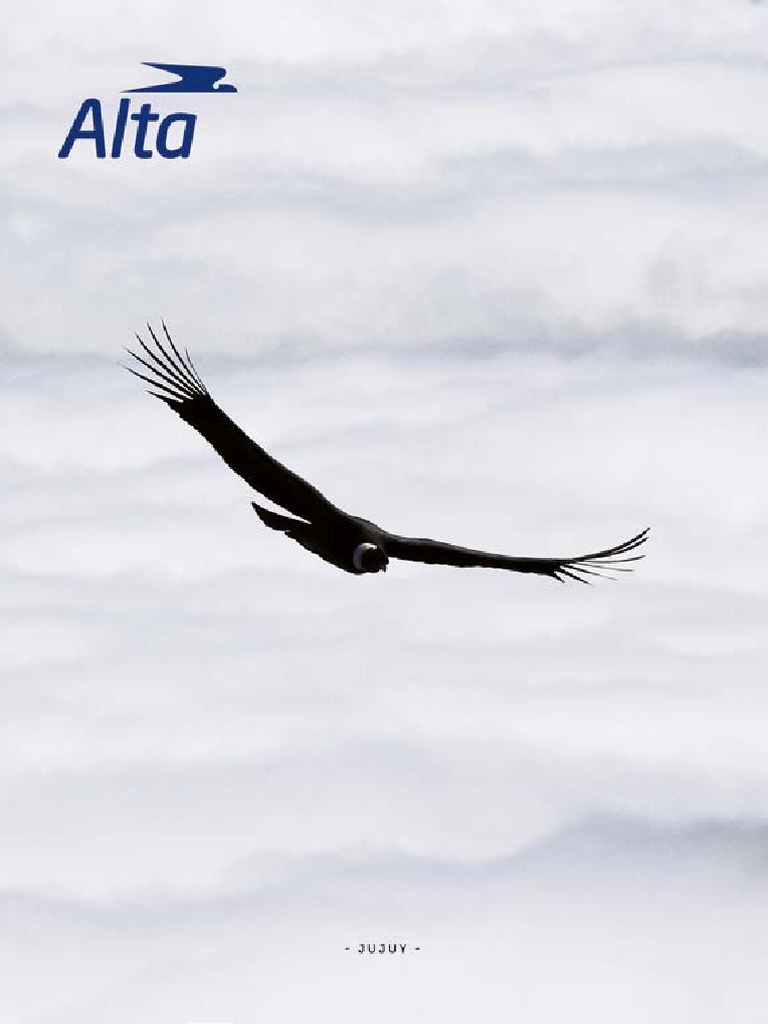 pasajeros archivos - Canal 2, image size:768x1024