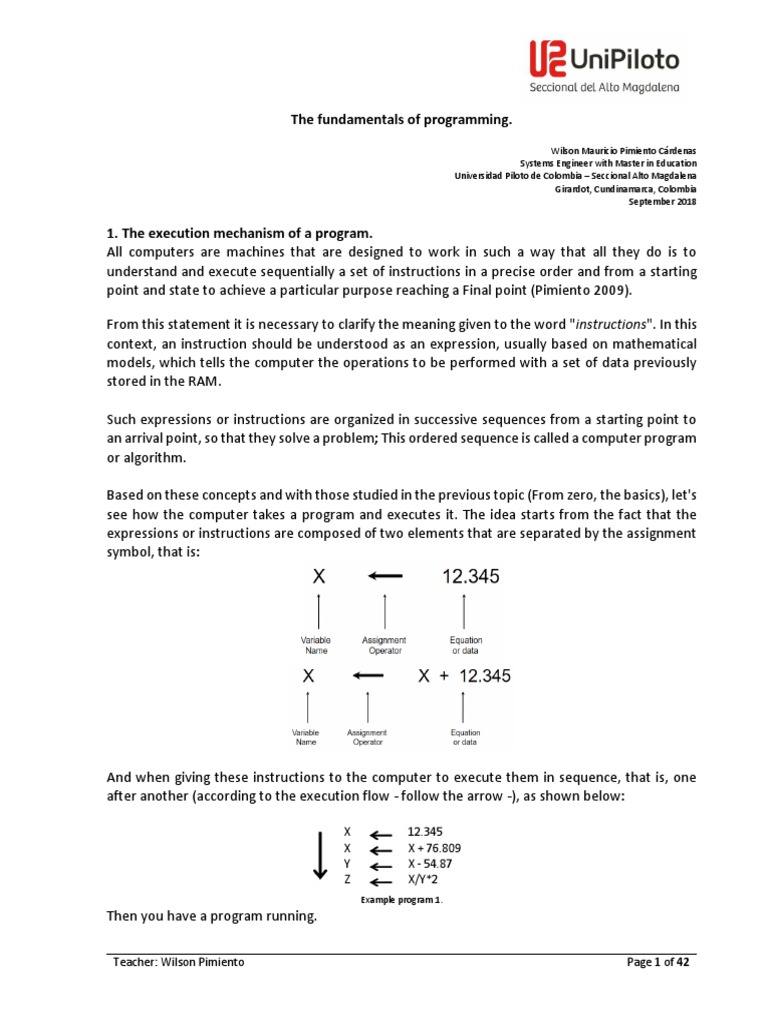 The Fundamentals of Programming | PDF | Input/Output | Computer Program