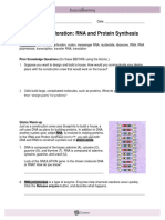 GIZMOS RNA Protein Synthesis Lab