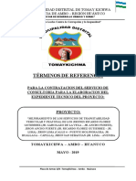 TDR #003-2019-Elaboracion Del Expediente Tecnico - Pistas - Molinoragra