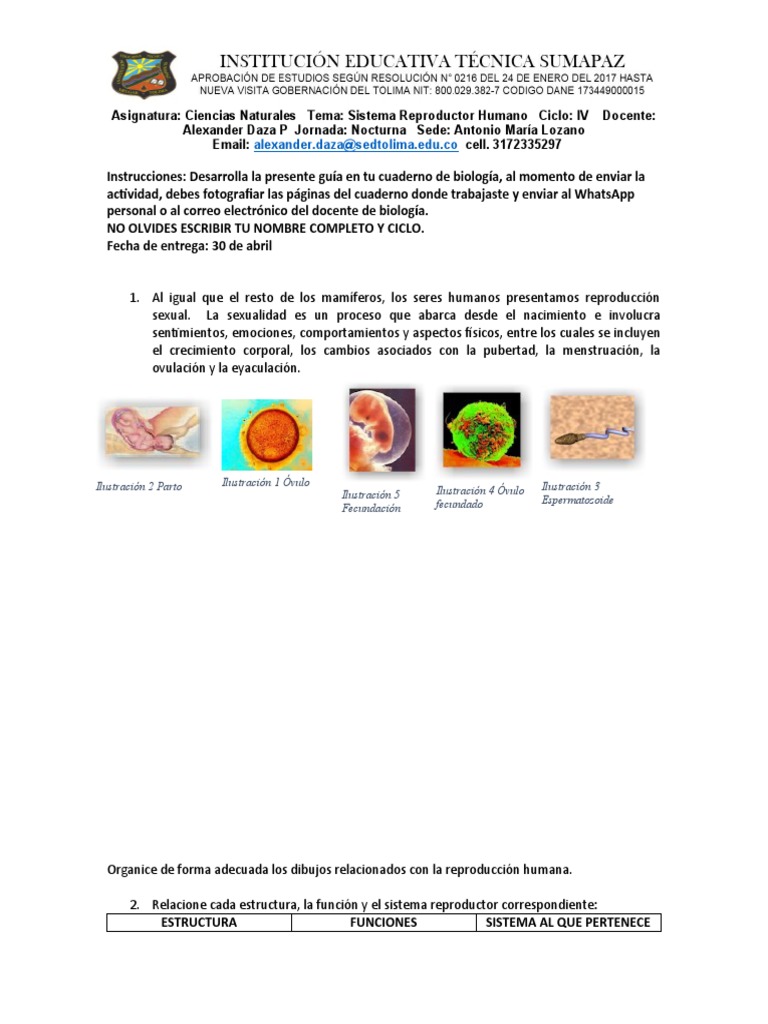 Ciclo menstrual | SheCares, image size:768x1024
