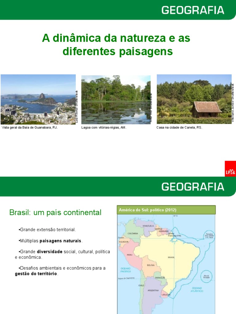 Dinâmica Natural e Paisagens do Brasil | PDF | Floresta Amazônica | Brasil